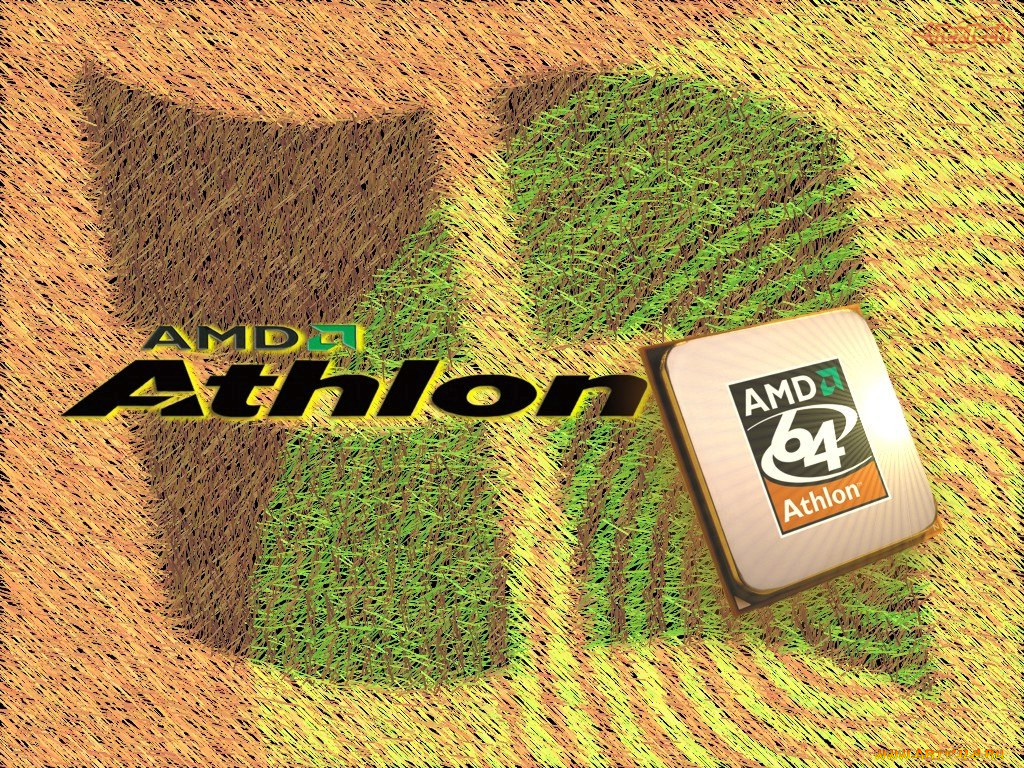 , amd